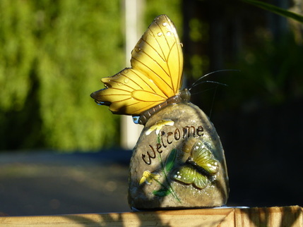 Butterfly welcome